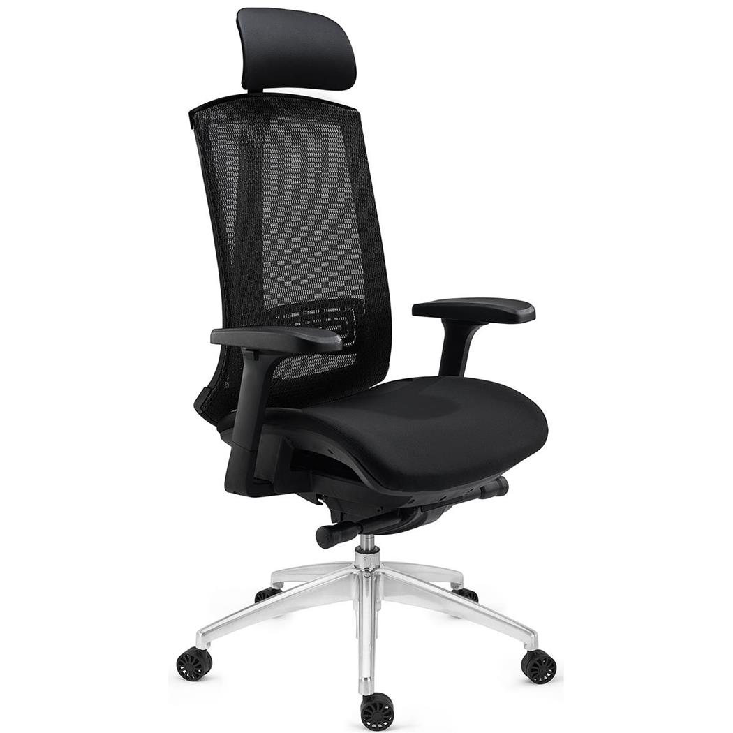 DEMO# Sedia Ergonomica RAPTOR, Uso Professionale, Completamente Regolabile, in Rete, Nero