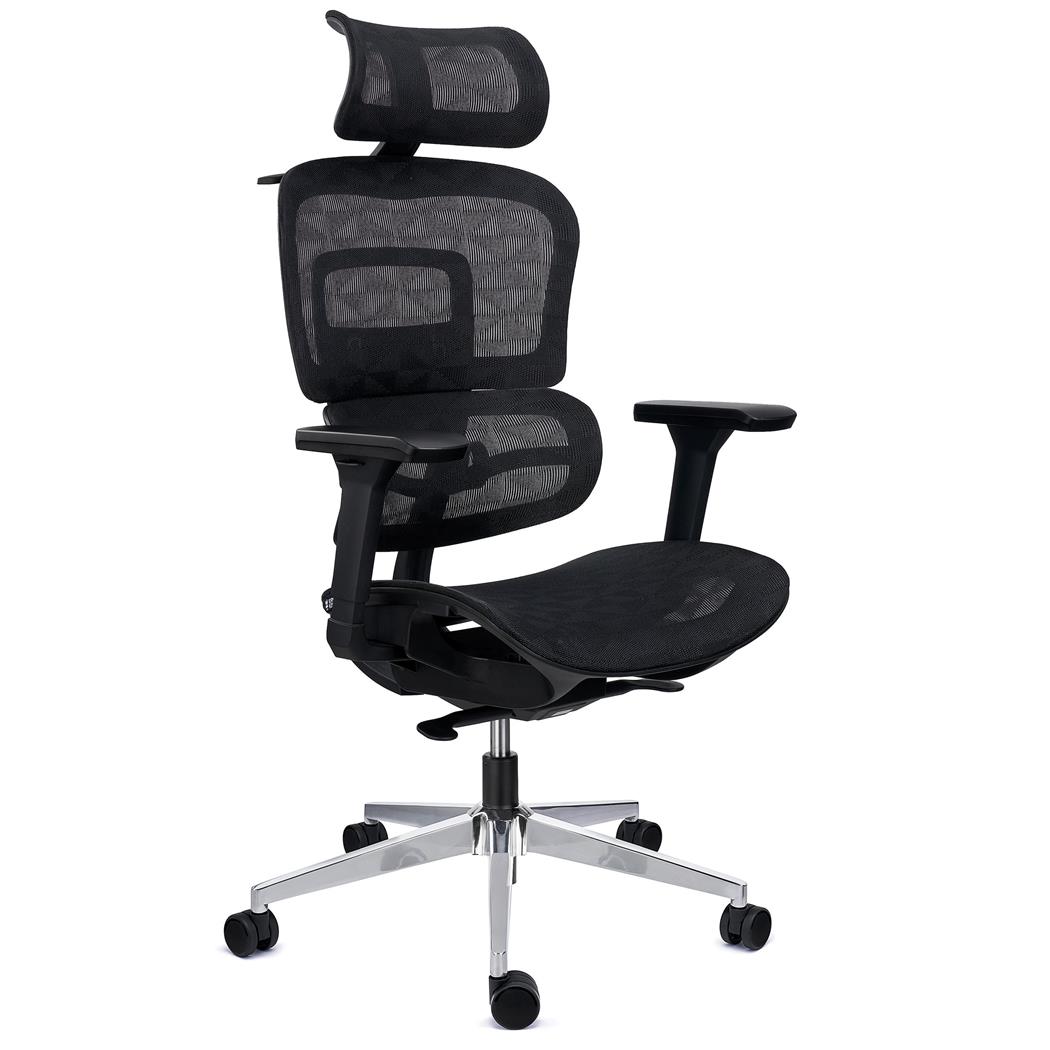 DEMO# Sedia Ergonomica ERGOMAX, Schienale Regolabile in Altezza, Confortevole e Versatile, Rete Nera