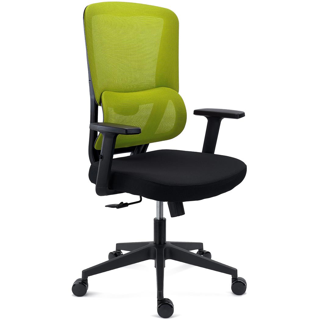 Sedia Ergonomica SUPRA, Confortevole, Supporto Lombare, Rete Traspirante e Tessuto, Verde