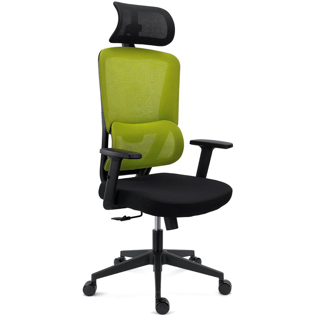 Sedia Ergonomica SUPRA, Confortevole, Supporto Lombare, Poggiatesta, Rete Traspirante e Tessuto, Verde