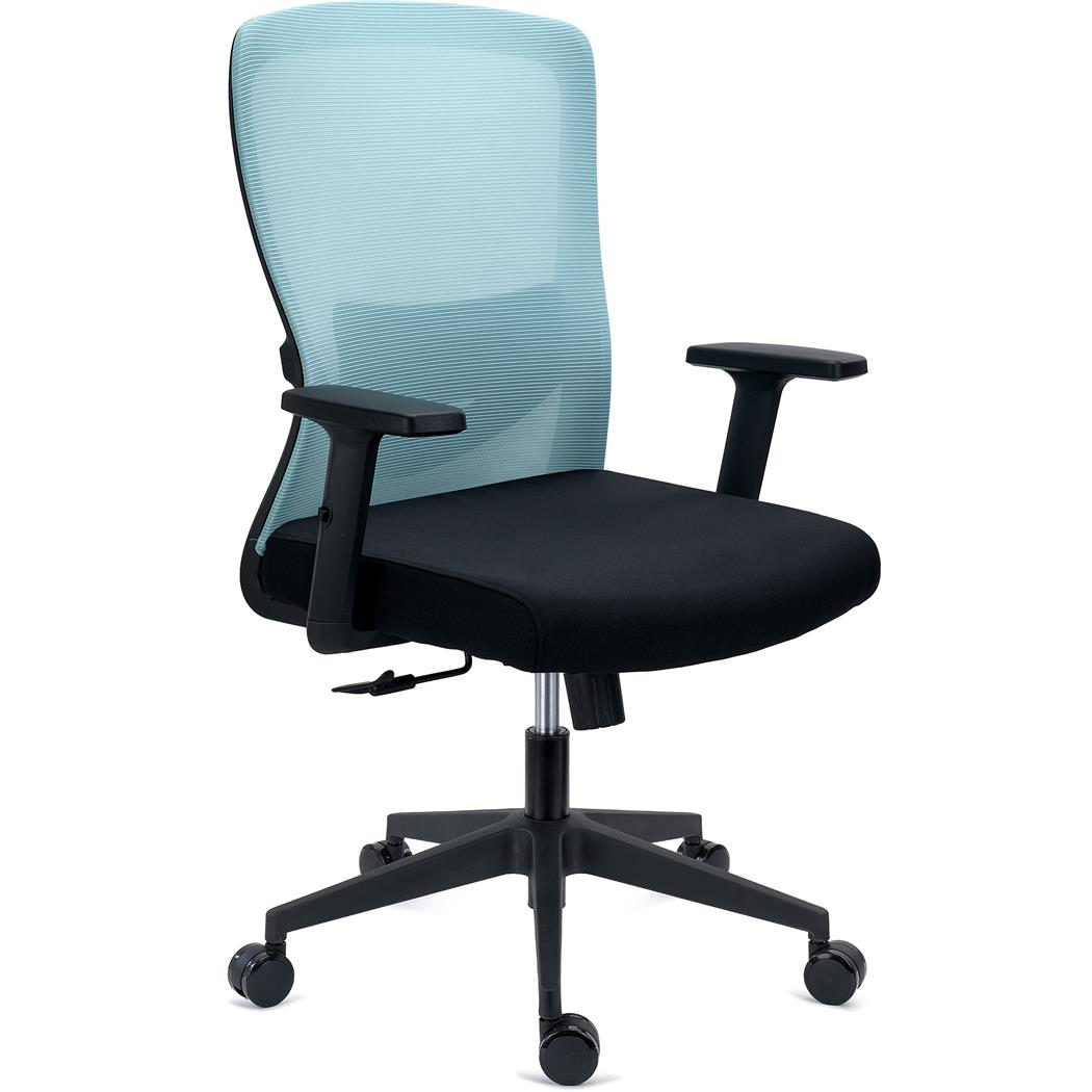 Sedia Operativa NOTE, Ergonomica, Supporto Lombare Regolabile, Rete e Tessuto, Azzurro