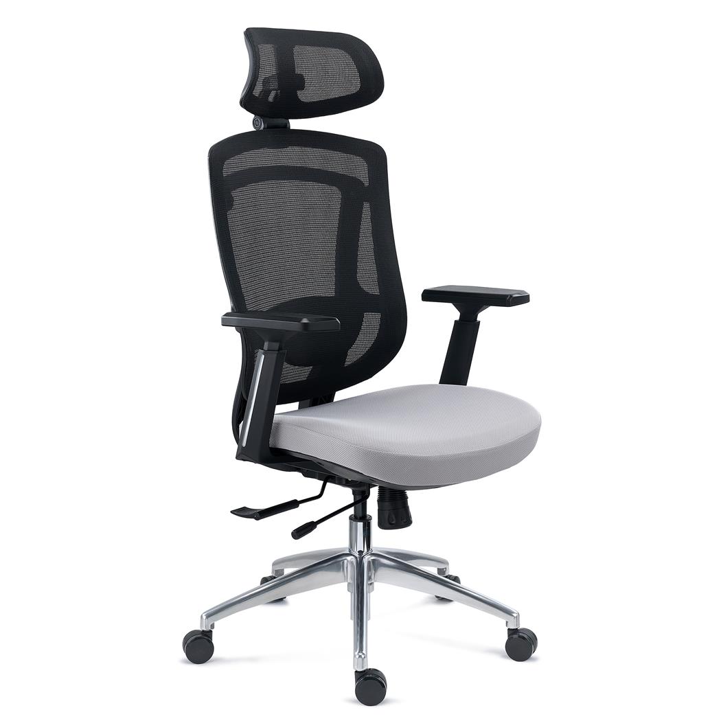 Sedia Ergonomica ASTON, Uso Professionale, Supporto Lombare Regolabile, Rete e Tessuto, Grigio