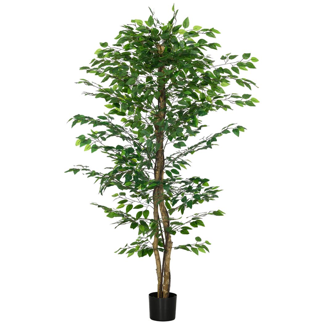 Pianta per Ufficio VITAL, Ficus alto 180cm, Vaso in Metallo, Verde
