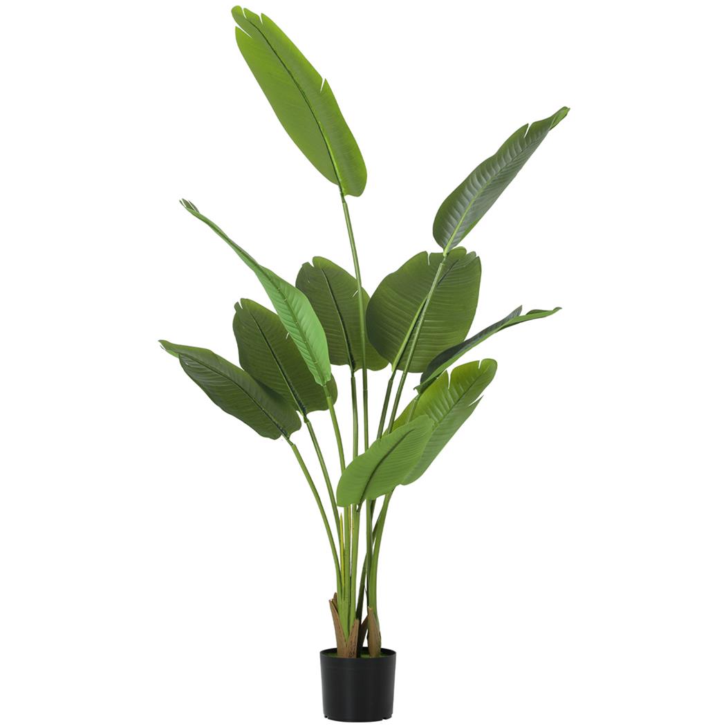 Pianta per Ufficio PALMA, Strelitzia alta 160cm, 10 Foglie con Vaso, Verde