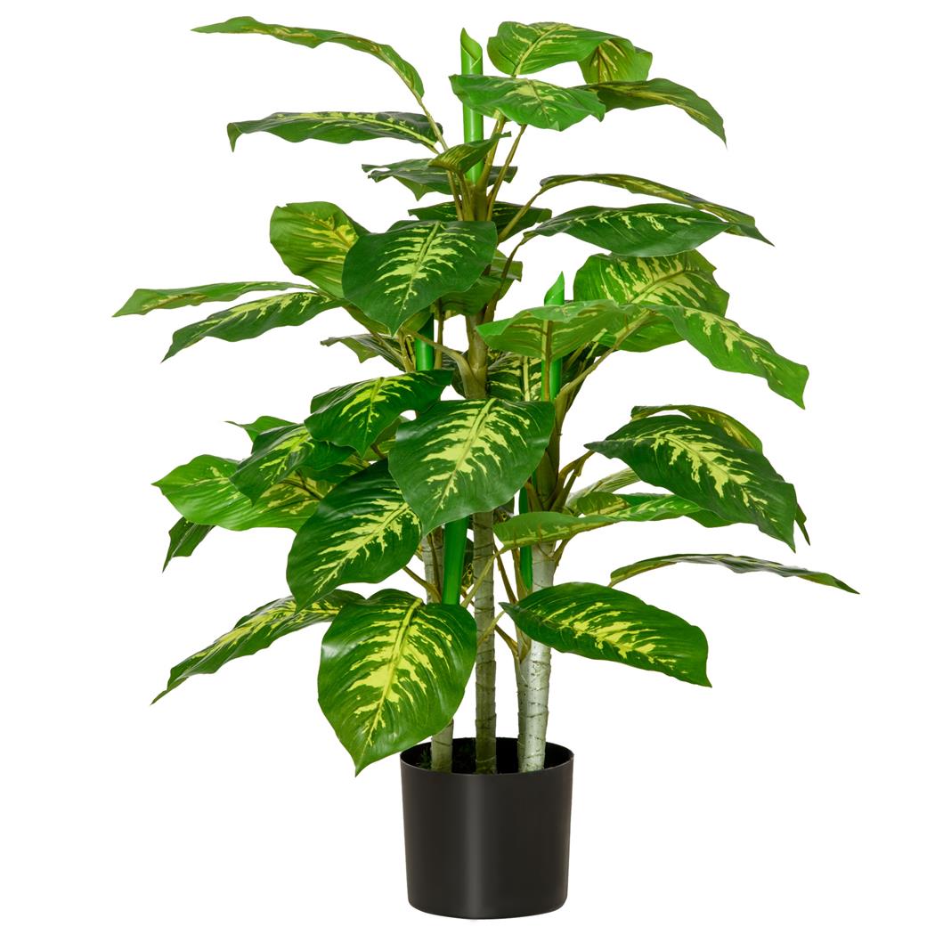 Pianta per Ufficio PIXO, Aglaonema alta 95cm, con Vaso Nero, Verde