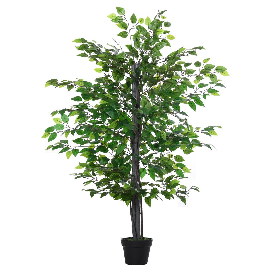 Pianta per Ufficio BLOOM, Ficus alto 145cm, con 756 Foglie, Verde