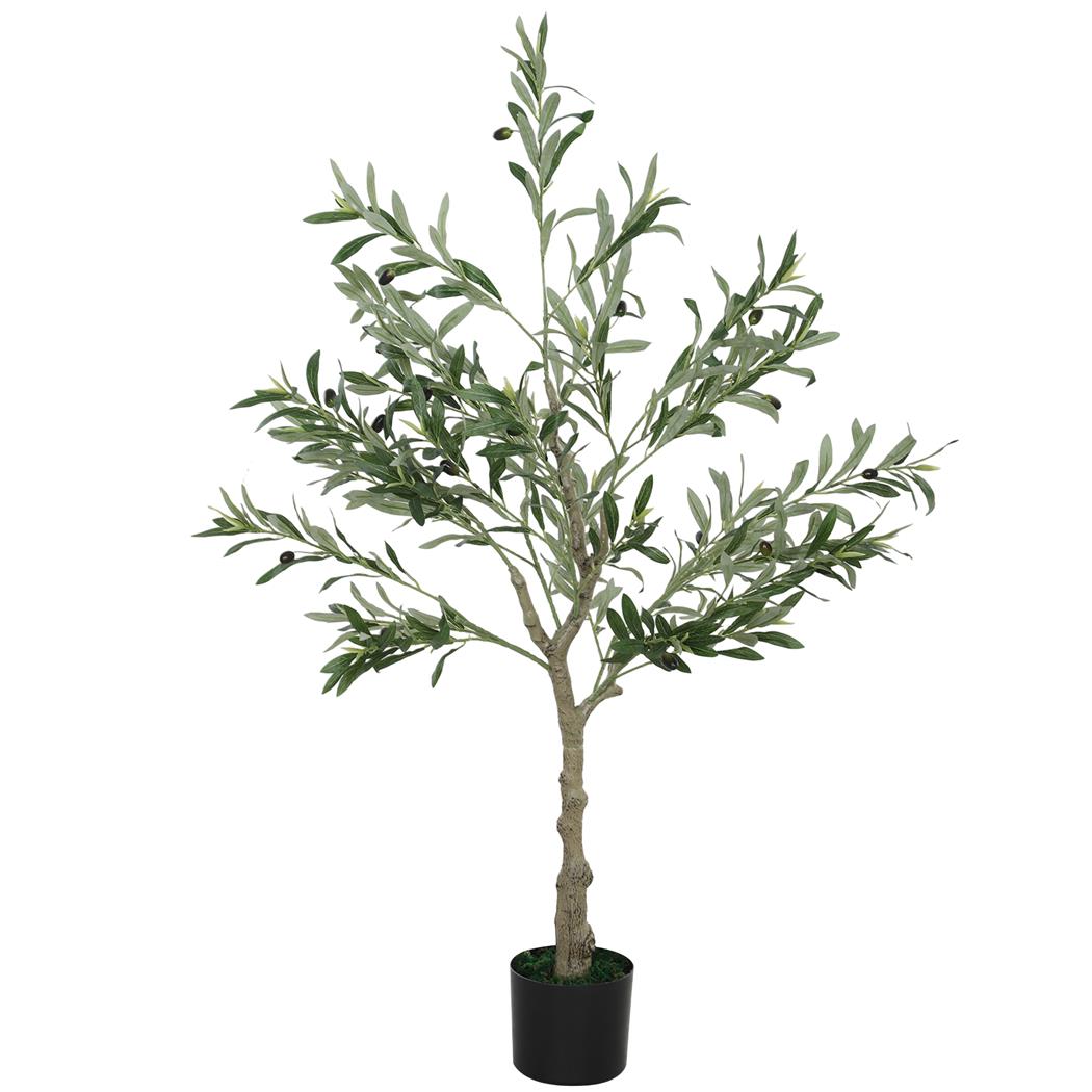 Pianta per Ufficio ECOA, Olivo alto 120cm, Con Foglie e Olive, Verde