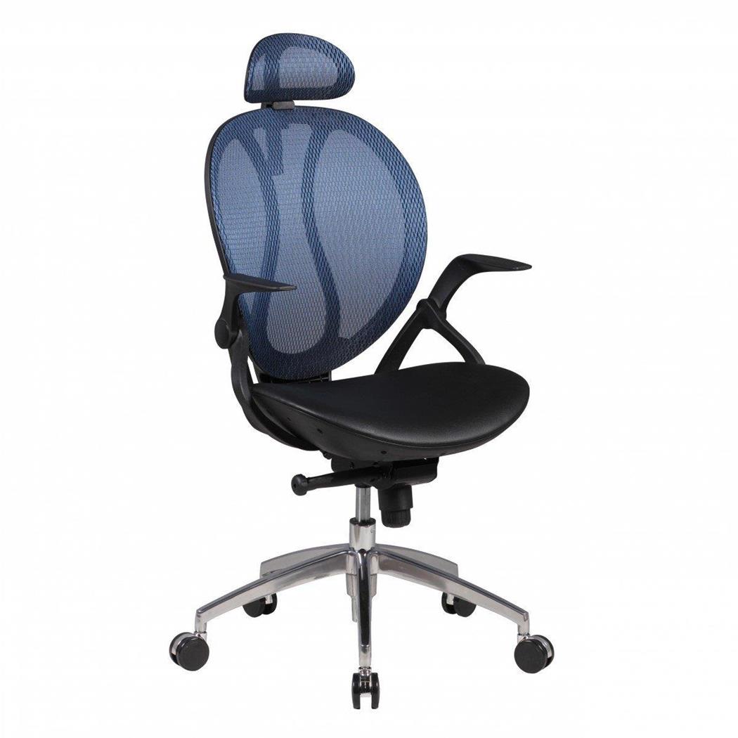 Sedia Ergonomica TELMA PRO, Poggiatesta e Braccioli Abbattibili, in Rete Traspirante, Blu e Nero