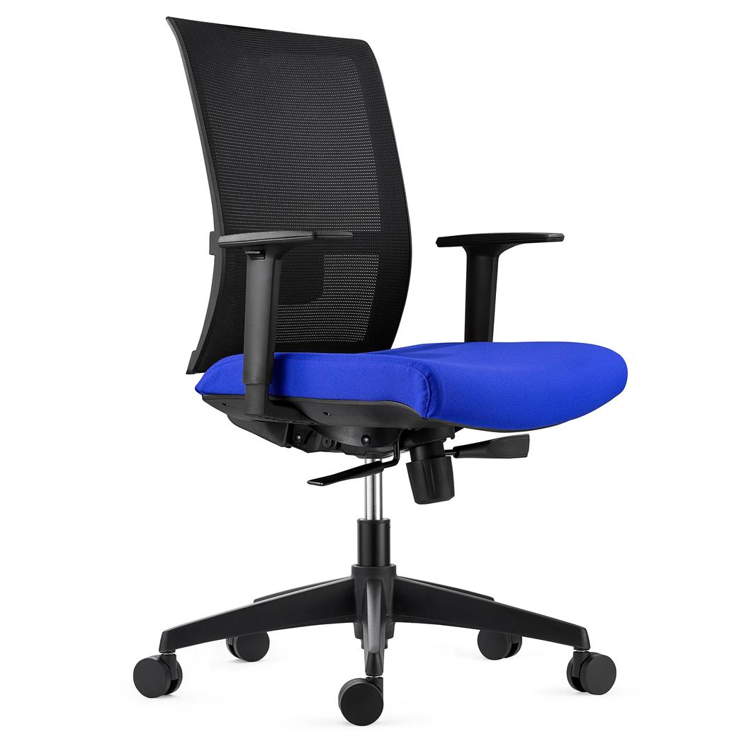 Sedia Ergonomica EXON, Supporto Lombare, in Tessuto e Rete colore Blu