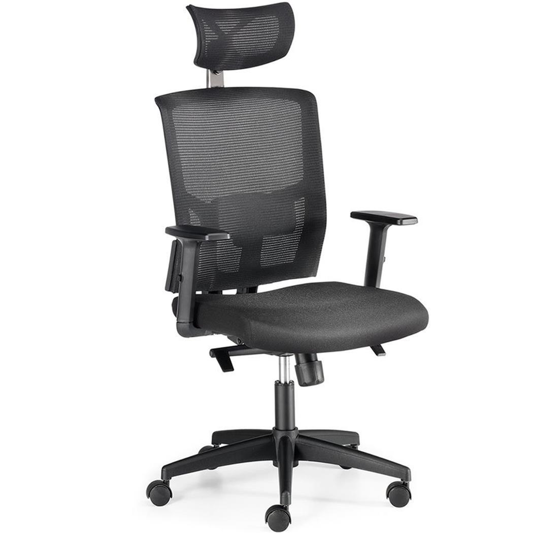 DEMO# Sedia Ergonomica EYDA, Sostegno Lombare, Braccioli Regolabili, In Rete Traspirante, Nero