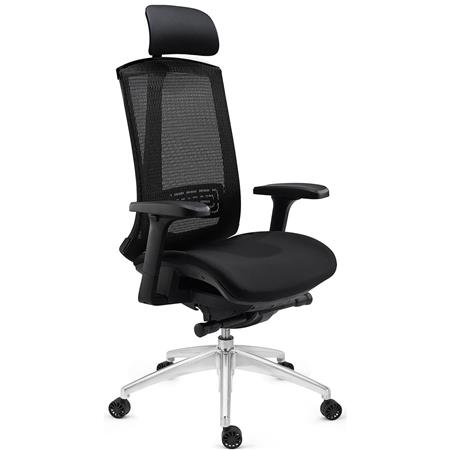 DEMO# Sedia Ergonomica RAPTOR, Uso Professionale, Completamente Regolabile, in Rete, Nero