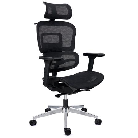 DEMO# Sedia Ergonomica ERGOMAX, Schienale Regolabile in Altezza, Confortevole e Versatile, Rete Nera