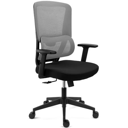 Sedia Ergonomica SUPRA, Confortevole, Supporto Lombare, Rete Traspirante e Tessuto, Grigio