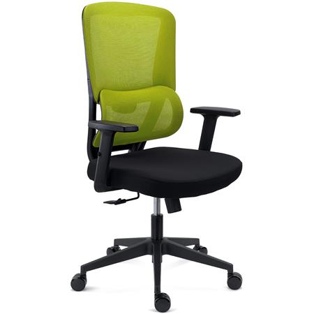 Sedia Ergonomica SUPRA, Confortevole, Supporto Lombare, Rete Traspirante e Tessuto, Verde
