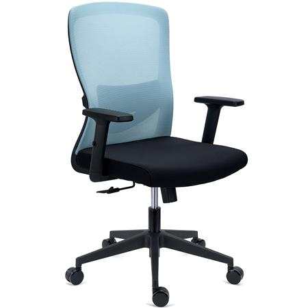 Sedia Operativa NOTE, Ergonomica, Supporto Lombare Regolabile, Rete e Tessuto, Azzurro
