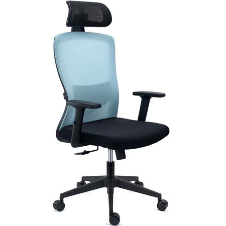 Sedia Operativa NOTE PRO, Ergonomica, Poggiatesta, Supporto Lombare Regolabile, Rete e Tessuto, Azzurro