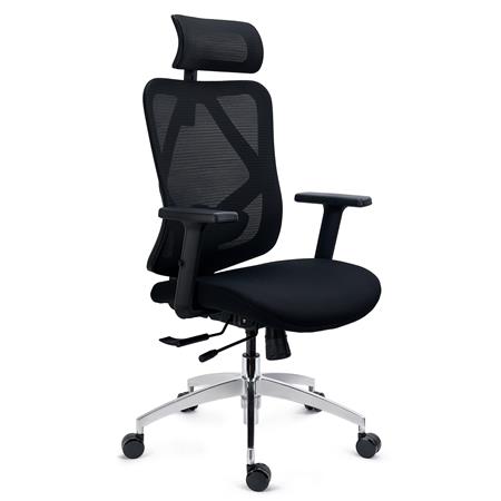 Sedia Ergonomica LONDON, Supporto Lombare Regolabile, Braccioli 3D, Rete e Tessuto, Nero