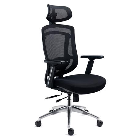 Sedia Ergonomica ASTON, Uso Professionale, Supporto Lombare Regolabile, Rete e Tessuto, Nero