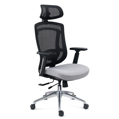Sedia Ergonomica ASTON, Uso Professionale, Supporto Lombare Regolabile, Rete e Tessuto, Grigio