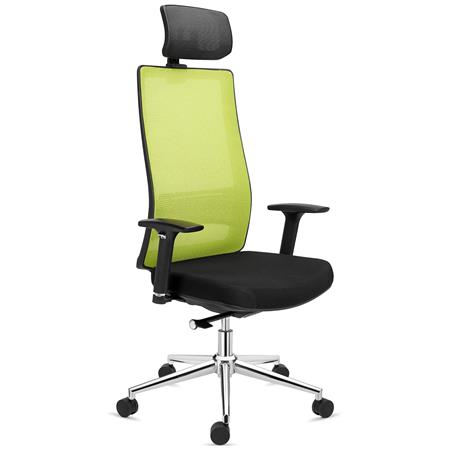 DEMO# Sedia Ergonomica SANTOS, Poggiatesta, Supporto Lombare, Rete e Tessuto, Verde