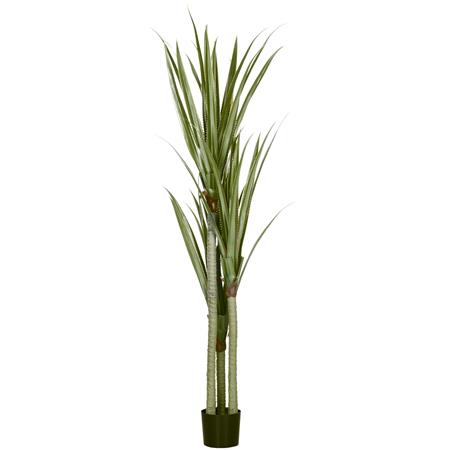 Pianta per Ufficio TUKA, Yucca alta 190cm, Tronco Realistico, Verde