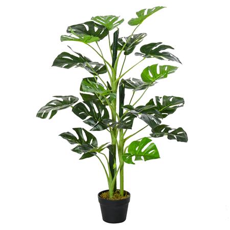 Pianta per Ufficio DAINTREE, Monstera alta 100cm, per Interno ed Esterno, Verde