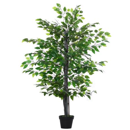 Pianta per Ufficio BLOOM, Ficus alto 145cm, con 756 Foglie, Verde
