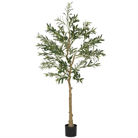 Pianta per Ufficio FOLI, Olivo alto 150cm, Con Foglie e Olive, Verde