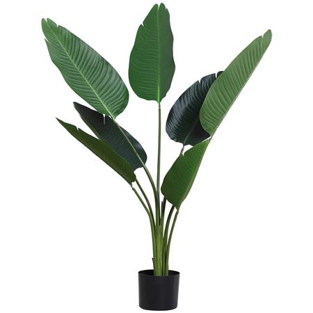 Pianta per Ufficio CARIBU, Strelitzia alta 120cm, 7 Foglie con Vaso, Verde