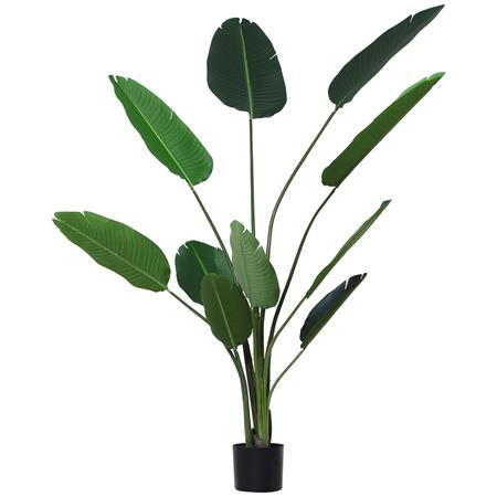 Pianta per Ufficio ETNA, Strelitzia alta 180cm, 10 Foglie con Vaso, Verde